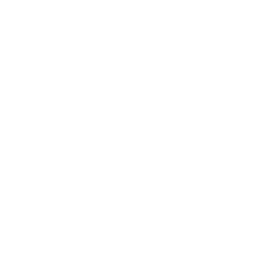 Фотография команды