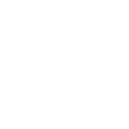 Фотография команды