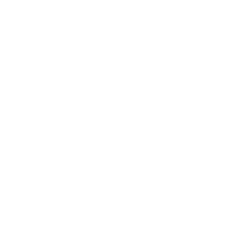 Фотография команды