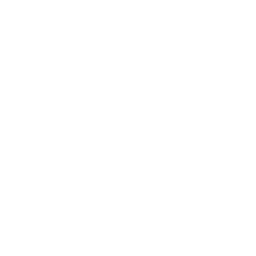 Фотография команды